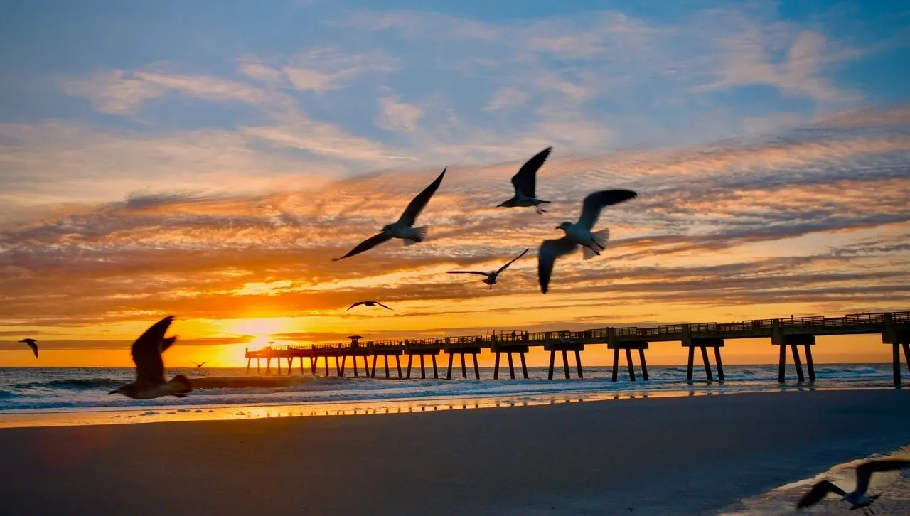 Seagulls flying past a pier at sunrise